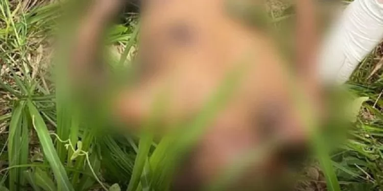 Homem suspeito de assassinar morador de rua espancado é preso no interior do Acre