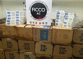 Mais de 45 mil maços de cigarros contrabandeados são apreendidos no interior do Acre