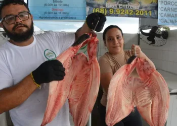 Previsão para Semana Santa é que sejam comercializados mais de 150 mil toneladas de peixes, diz Seagro