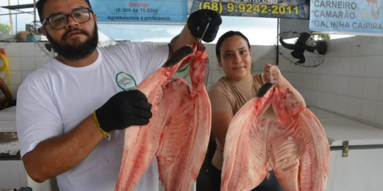 Previsão para Semana Santa é que sejam comercializados mais de 150 mil toneladas de peixes, diz Seagro