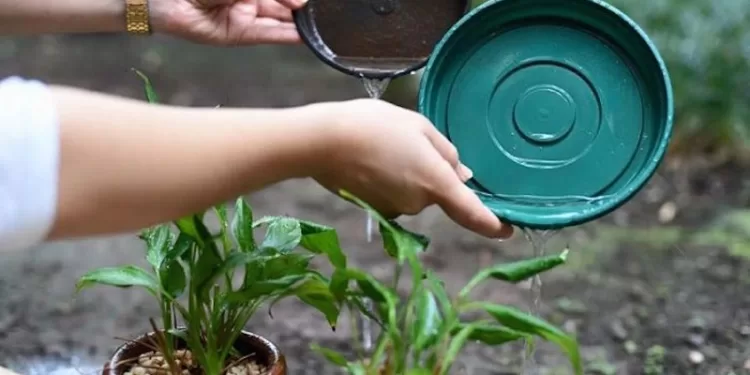 Casos de dengue têm aumento de 359,7% no Acre em relação ao mesmo período de 2023