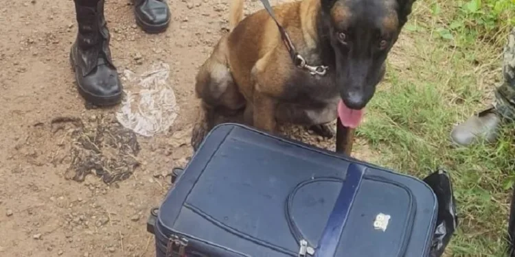 Cerca de 16 kg de drogas são apreendidos durante abordagem em ônibus no Acre