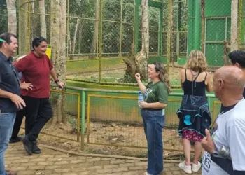 Parque Chico Mendes recebe avaliadores e pode ganhar certificado internacional de turismo