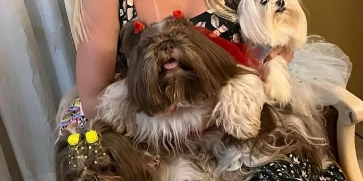 “Poderia ter sido evitado’, diz tutora que perdeu dois cachorros em hotel ‘pet’ de Rio Branco