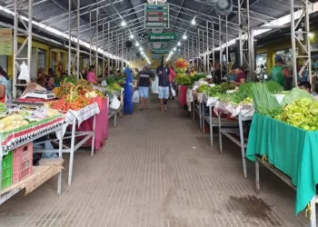 Reconstrução do Mercado Elias Mansour será de quase R$ 29 milhões