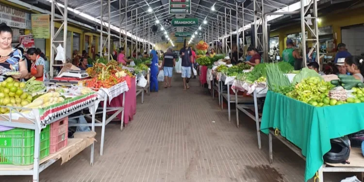 Reconstrução do Mercado Elias Mansour será de quase R$ 29 milhões