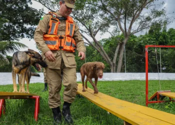 Bombeiros, cães farejadores e recursos são enviados do Acre para prestar apoio humanitário no RS