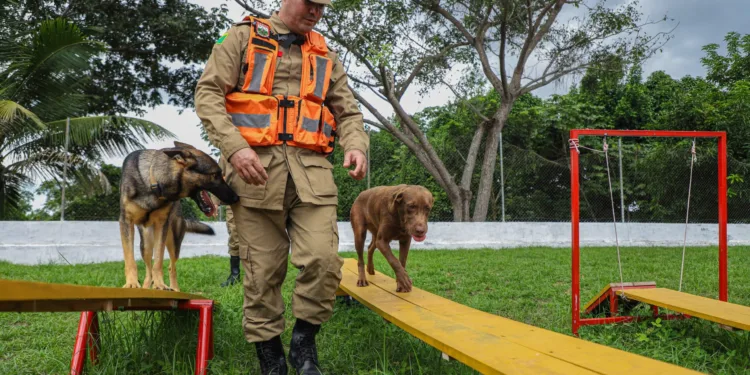 Bombeiros, cães farejadores e recursos são enviados do Acre para prestar apoio humanitário no RS