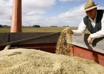 Governo publica MP que autoriza importar até um milhão de toneladas de arroz
