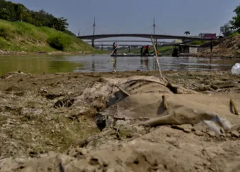 “Nesta data é a cota mais baixa dos últimos 10 anos”, diz Defesa Civil de RB sobre nível do Rio Acre