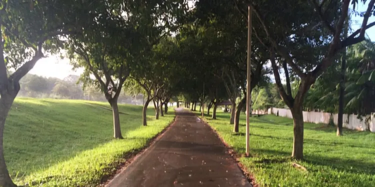 Semeia RB realoca árvores do TCE para parque Tucumã; arquiteto afirma que nenhuma sobreviverá