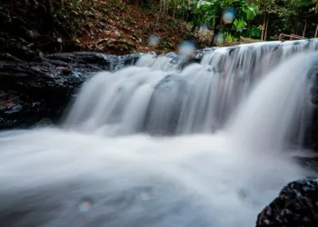 Complexo de cachoeiras é descoberto em trilha a 100 km de Rio Branco; conheça
