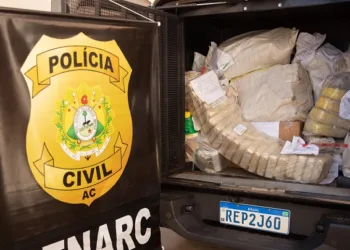 Mais de R$ 6 milhões em drogas apreendidas são incineradas em Rio Branco