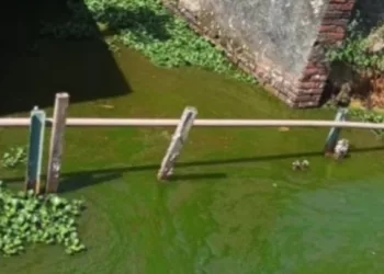 Esgoto sem tratamento no campus é uma das pautas da greve dos docentes da Ufac