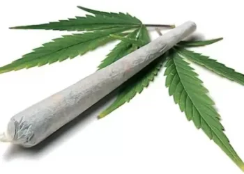 Quantidade de maconha vai diferenciar uso pessoal e tráfico