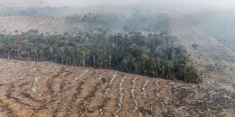 Fogo na Amazônia é etapa da exploração econômica do bioma