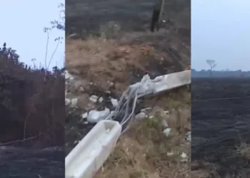 Incêndio atinge ramal do Benfica e causa destruição em centenas de hectares