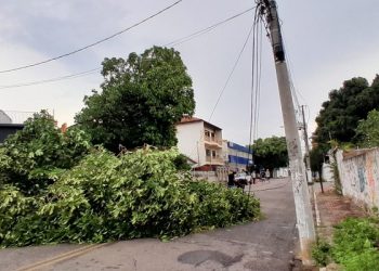 Tempestade com ventos de 80 km/h causa estragos e deixa 7% de famílias sem energia em Rio Branco