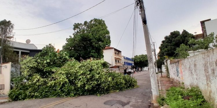 Tempestade com ventos de 80 km/h causa estragos e deixa 7% de famílias sem energia em Rio Branco