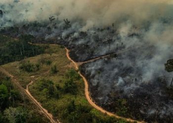 “As emergências climáticas afetam diretamente o bolso do acreano”, afirma especialista