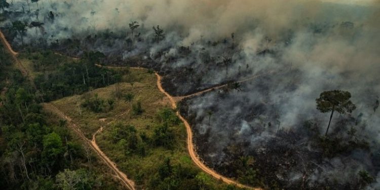 “As emergências climáticas afetam diretamente o bolso do acreano”, afirma especialista