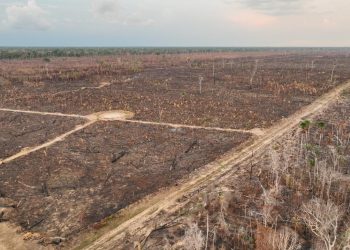 Polícia Federal deflagra Operação Dracarys contra desmatamento e queimadas ilegais na Amazônia