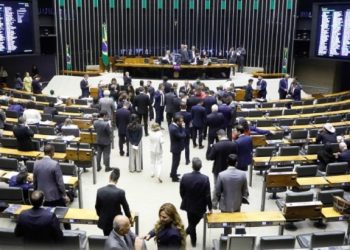 Câmara aprova projeto que amplia direito da pessoa com deficiência a ingressar em locais com cão de assistência