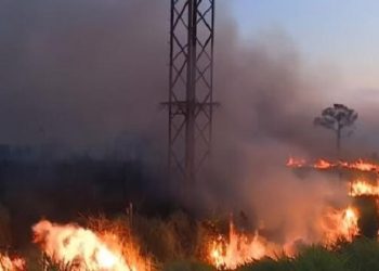 Prefeitos eleitos do Acre buscam recursos em Brasília para enfrentar desafios imediatos