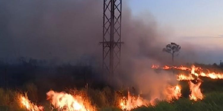 Prefeitos eleitos do Acre buscam recursos em Brasília para enfrentar desafios imediatos