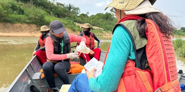 Governo do Acre divulga análise técnica sobre mortandade de peixes no Rio Acre