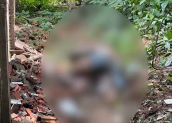 Corpo em decomposição é encontrado em área de mata na Estrada de Porto Acre