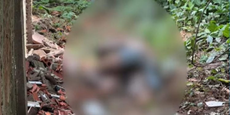 Corpo em decomposição é encontrado em área de mata na Estrada de Porto Acre