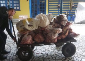 Em Tarauacá, Mpac e Vigilância Sanitária apreendem mais de meia tonelada de alimentos não consumíveis