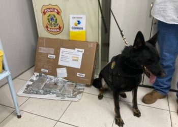 Operação nos Correios apreende quase 2 kg de drogas em Rio Branco