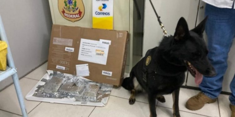 Operação nos Correios apreende quase 2 kg de drogas em Rio Branco