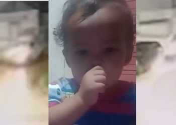 Tragédia em Rio Branco: família pede justiça após morte de criança atropelada