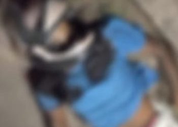 Em Mâncio Lima, suspeito de tentativa de feminicidio é morto com seis tiros