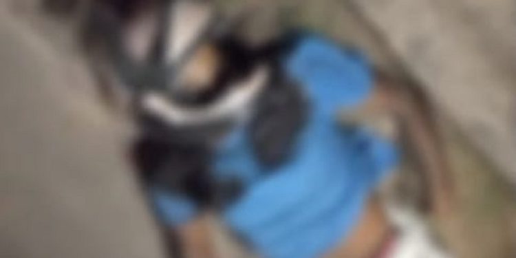 Em Mâncio Lima, suspeito de tentativa de feminicidio é morto com seis tiros