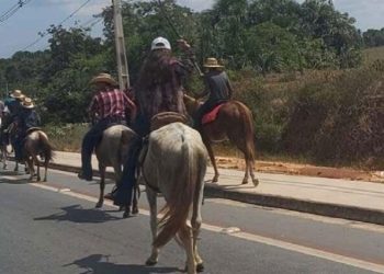 MPAC ajuíza ação civil pública por maus-tratos a animais na Cavalgada da Expoacre Juruá 2024