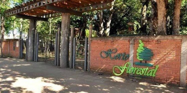 Horto Florestal sedia feira natalina nesta sexta-feira em Rio Branco