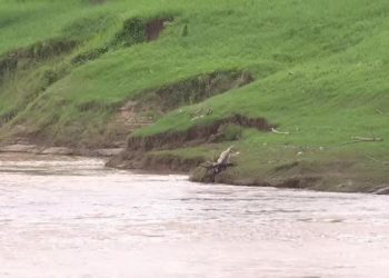 Bolívia articula projeto para construção de muro de contenção e comporta no rio Acre