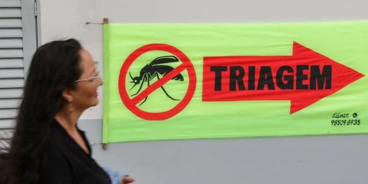 Entenda o que são sorotipos da dengue e por que o tipo 3 preocupa