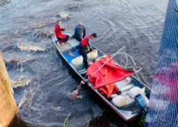 Ieptec lamenta morte de estudante no Igarapé Preto em Cruzeiro do Sul