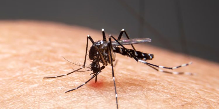 Equipe do Ministério da Saúde vem ao Acre articular ações com municípios contra Dengue