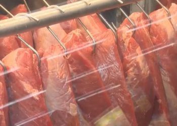 Exportações do Acre crescem 77% em 2024 e ultrapassam US$ 81 milhões