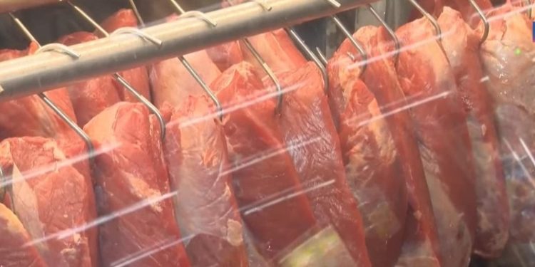 Exportações do Acre crescem 77% em 2024 e ultrapassam US$ 81 milhões