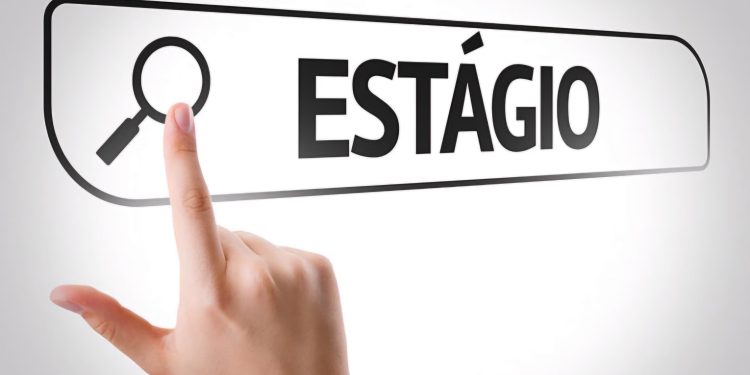 Processo seletivo para estágio em diversas áreas no Acre é divulgado; bolsas de quase R$ 800,00