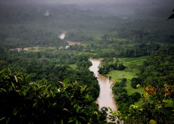 Funai restringe acesso ao Parque Estadual do Chandless para proteger indígenas isolados