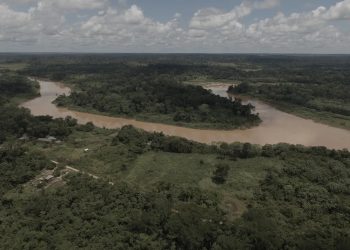 Estudo do INPA revela perda de 40% da mata ciliar do rio Acre e alerta para risco de colapso ambiental
