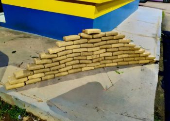 Quase 80 kg de droga é  apreendido em veículo guinchado em Rio Branco